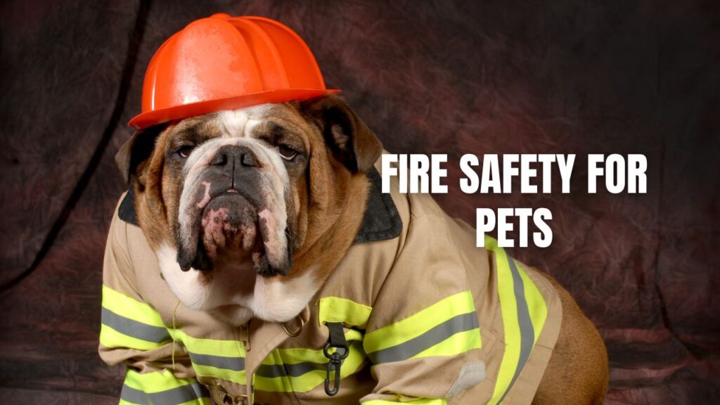 Fire Safety for Pets