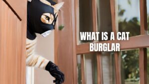 What Is A Cat Burglar